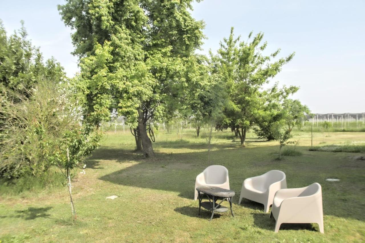 L'Andito Carpi Buitenkant foto
